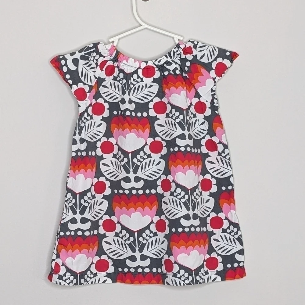Hanna Andersson Flower Butterfly Dress Tunic 80 2T